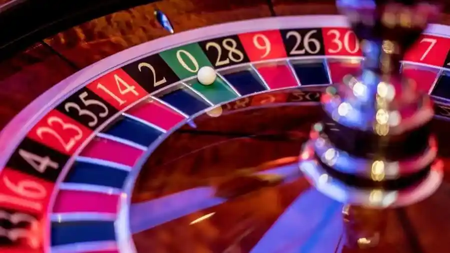zizi slot